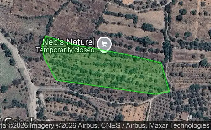 Show on map Property #4215 - Property Location on the Map