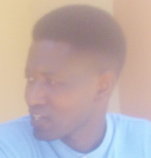 Logo image elia mamilo